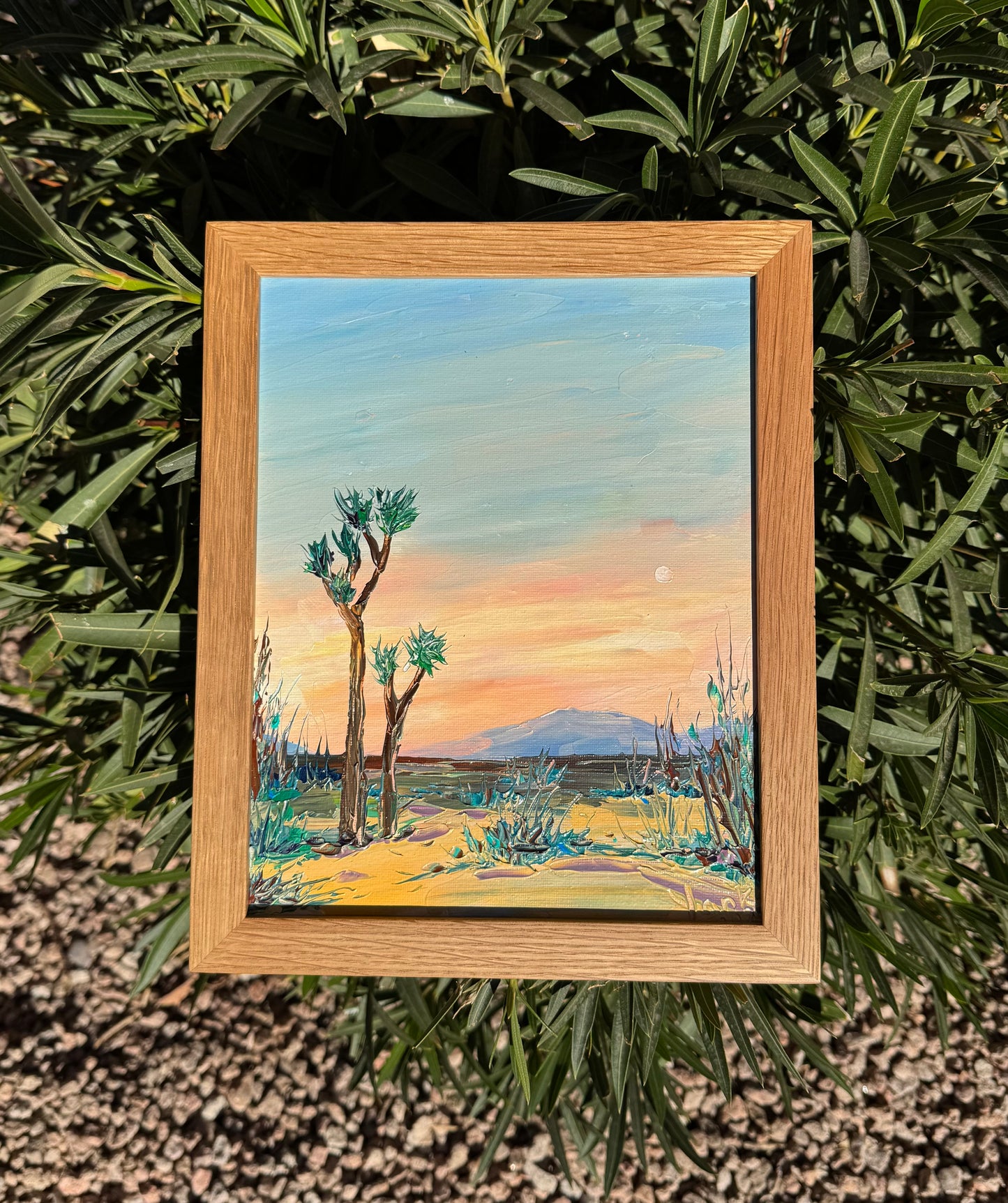 Joshua Desert