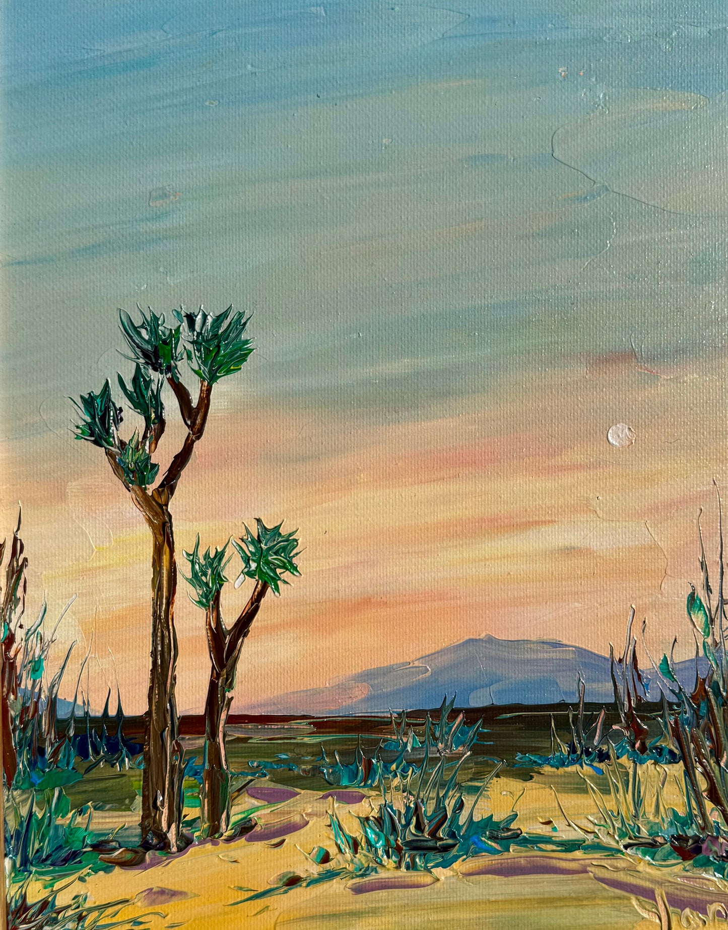 Joshua Desert