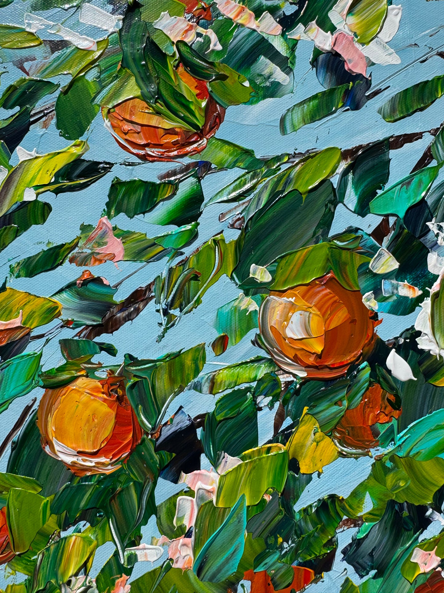 Orange Blossom