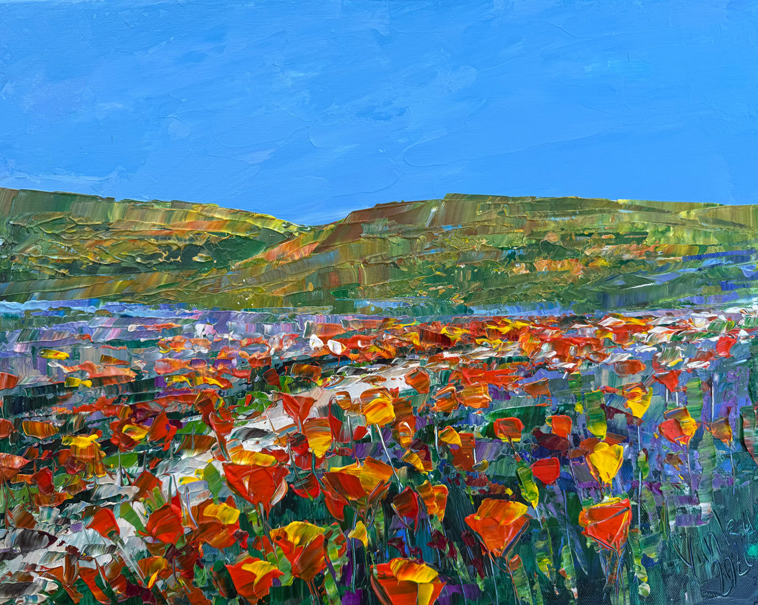 California Poppies