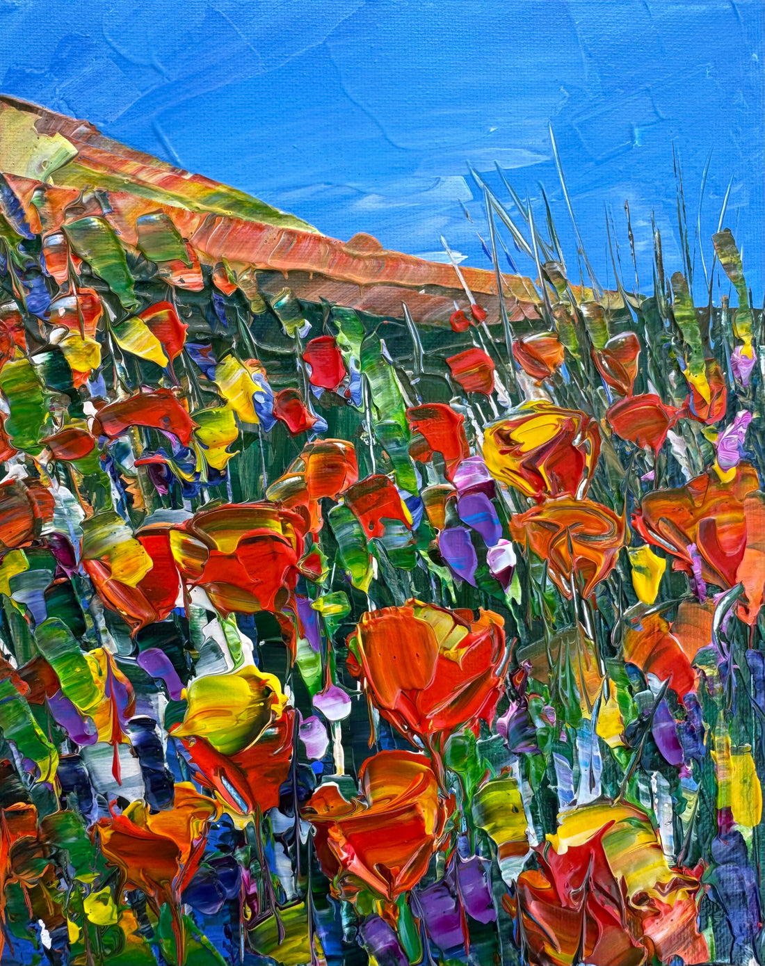 Bright Poppies
