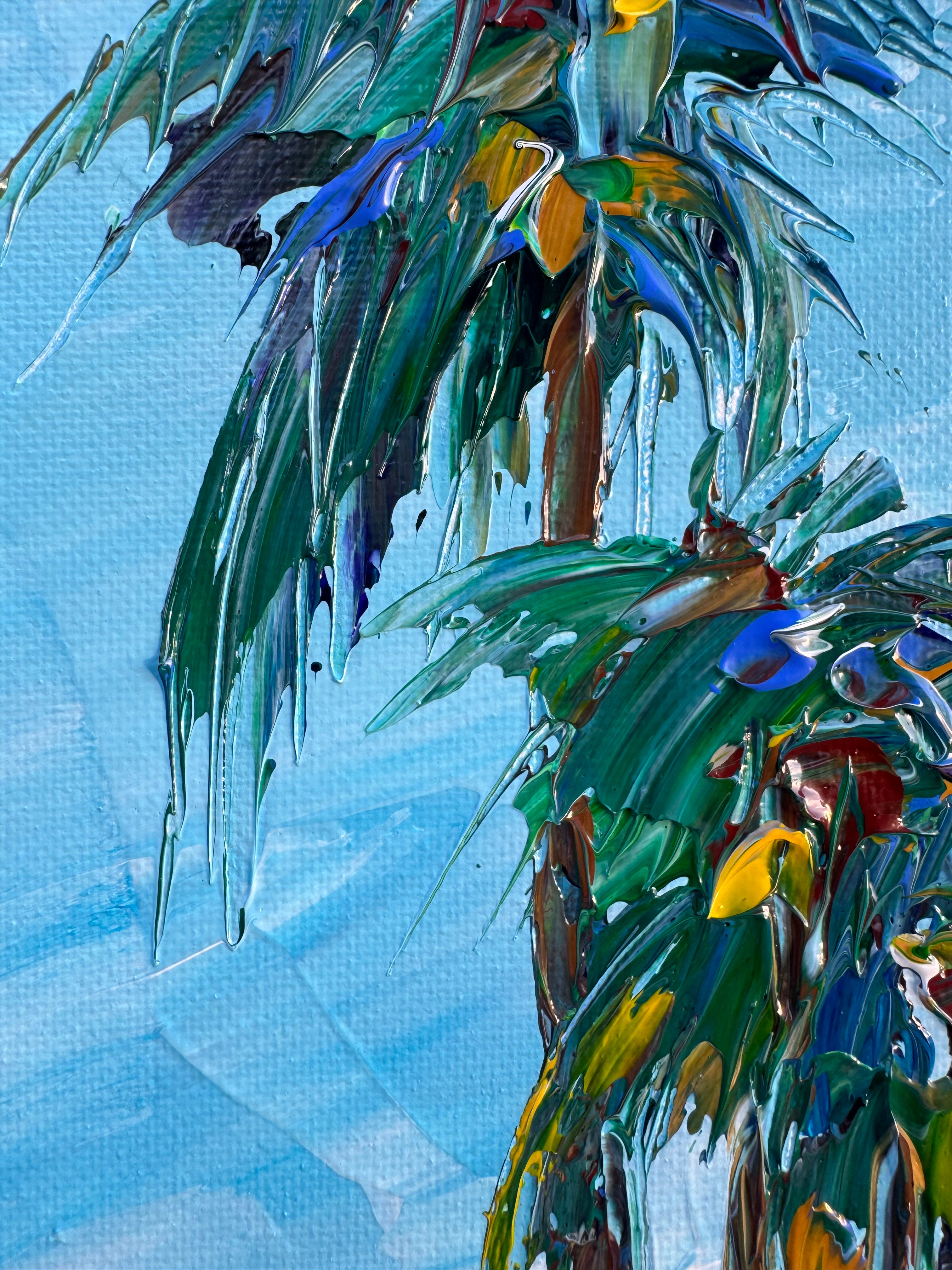 Palm Valley