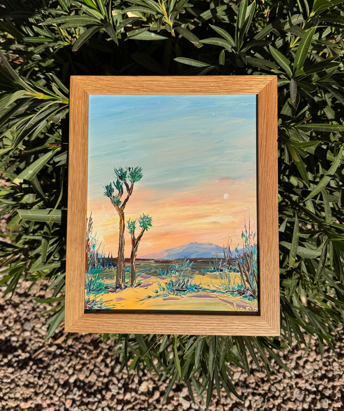 Joshua Desert
