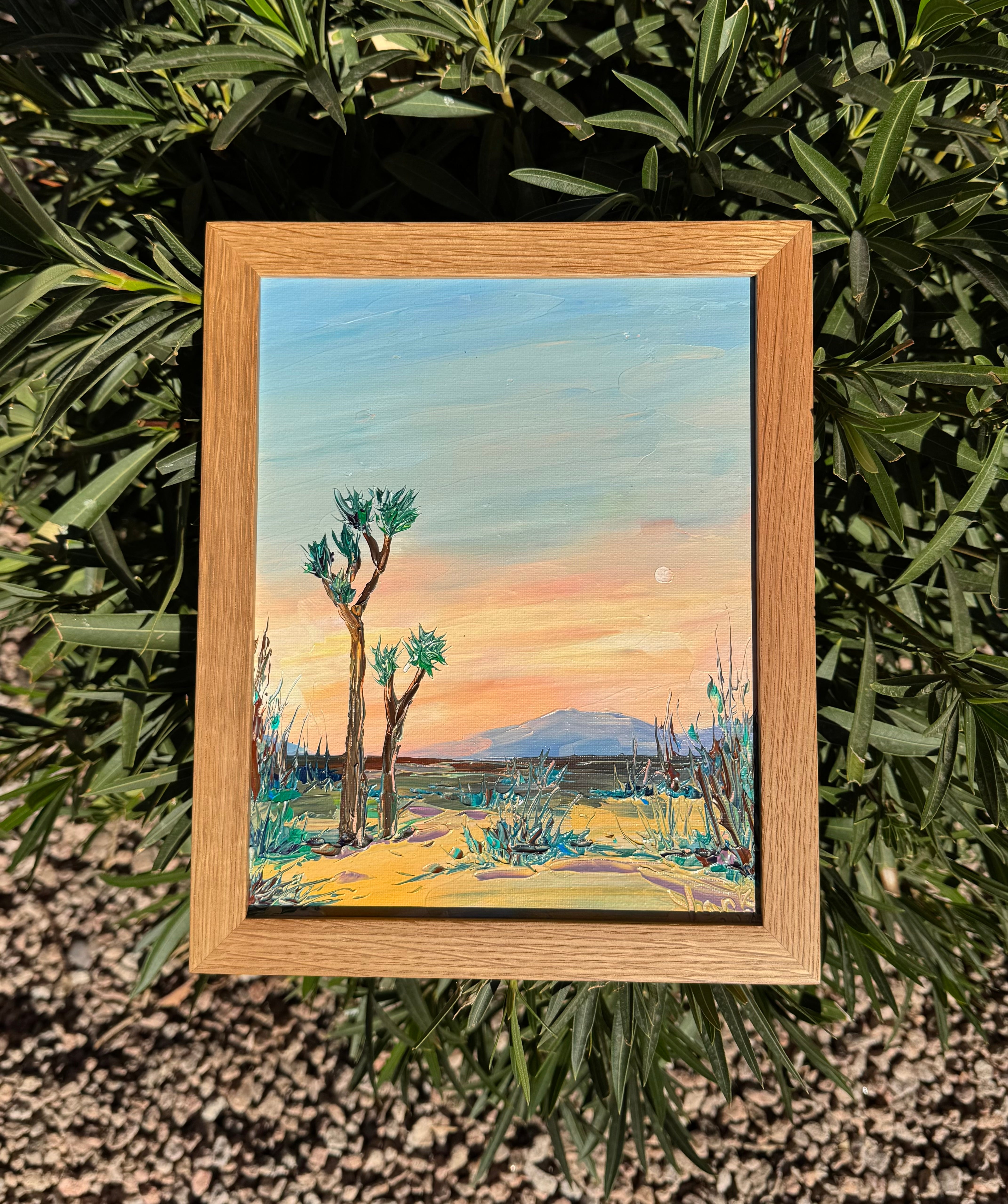 Joshua Desert