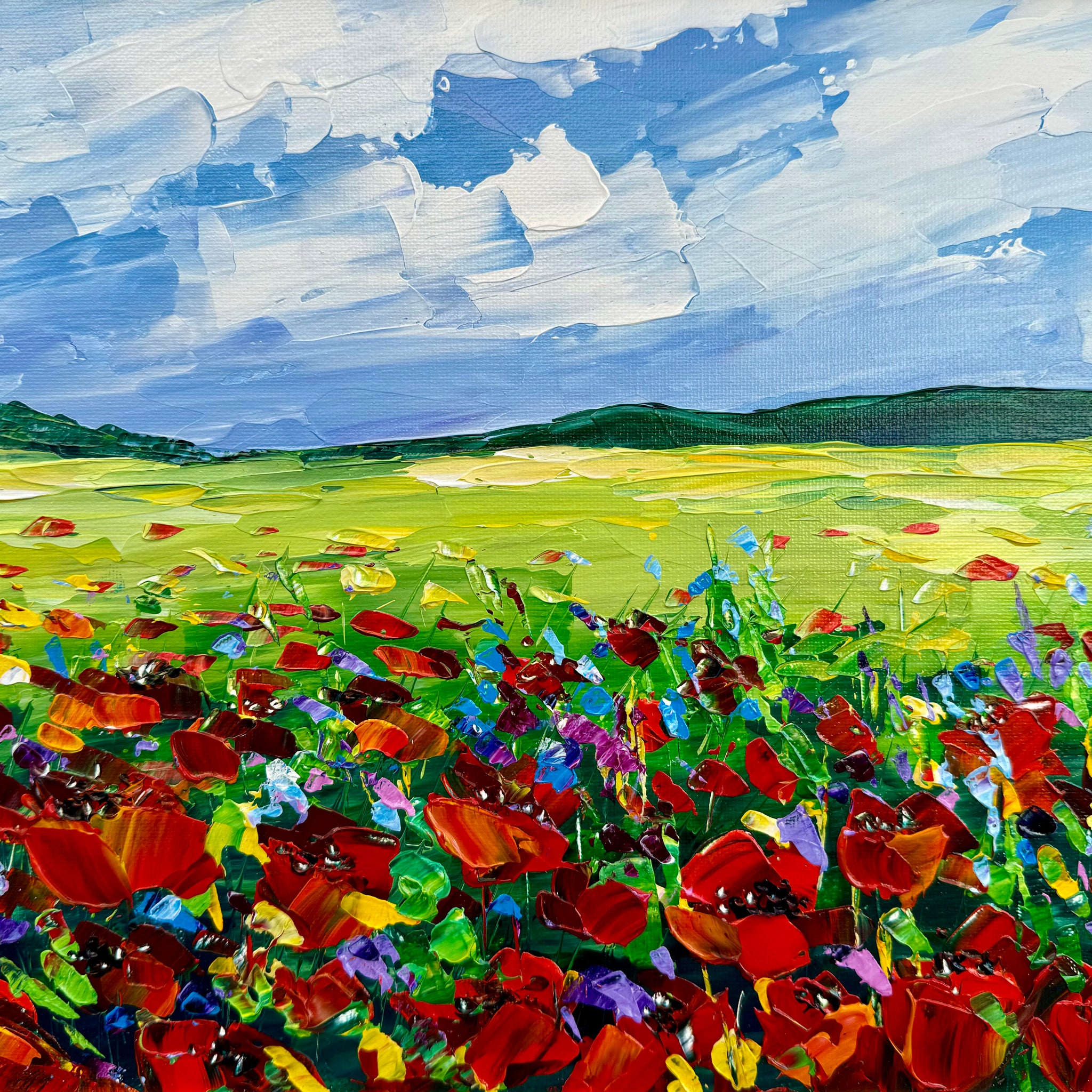 Valley of poppies