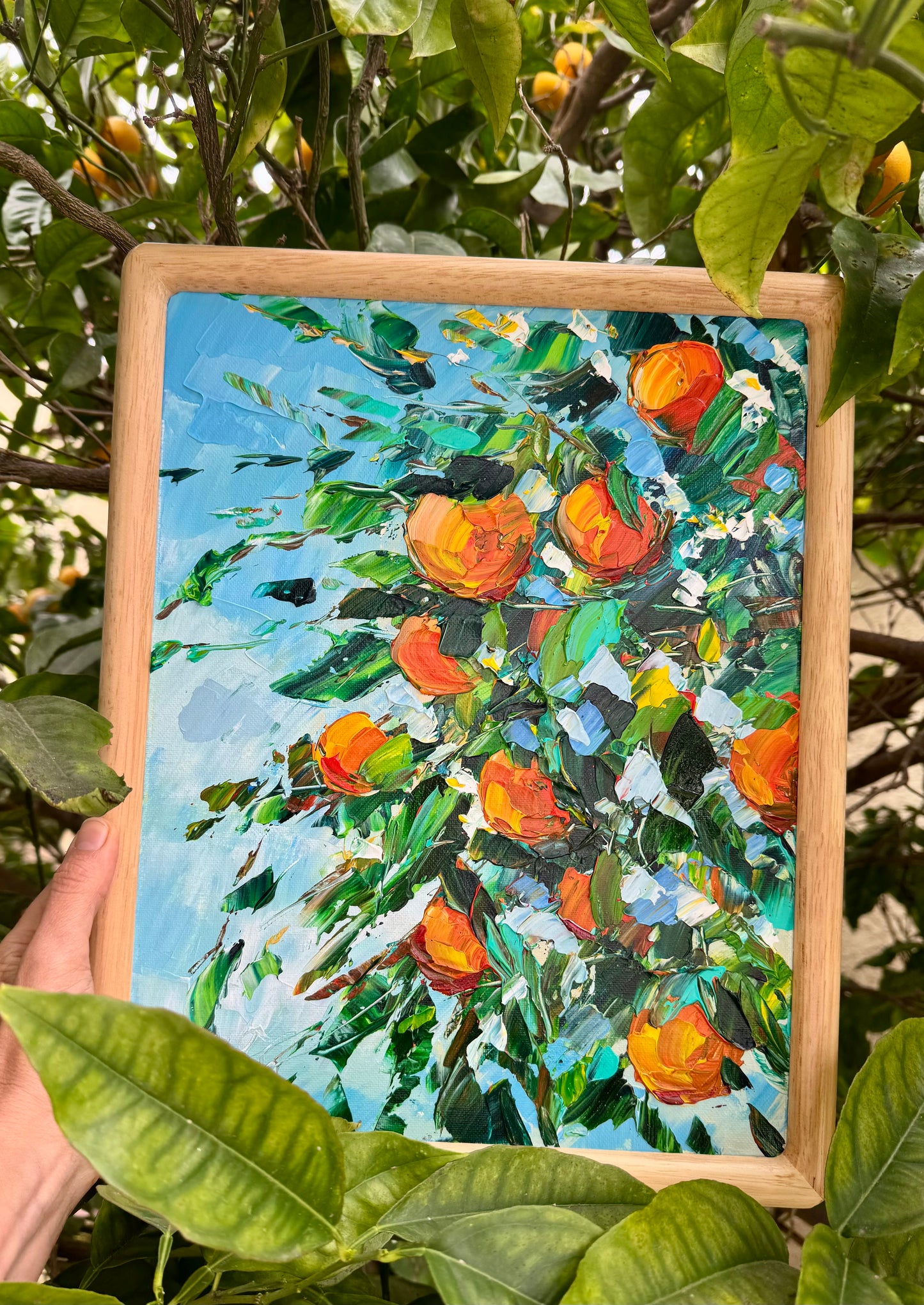 Sunlit Oranges